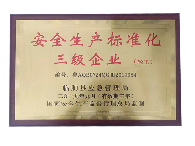 安全生產(chǎn)標(biāo)準(zhǔn)化三級企業(yè)